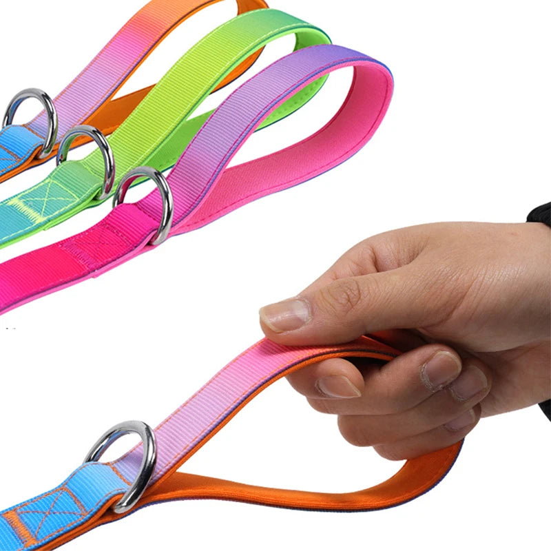 Gradient Print Nylon Dog Leash with Soft Padded Handle