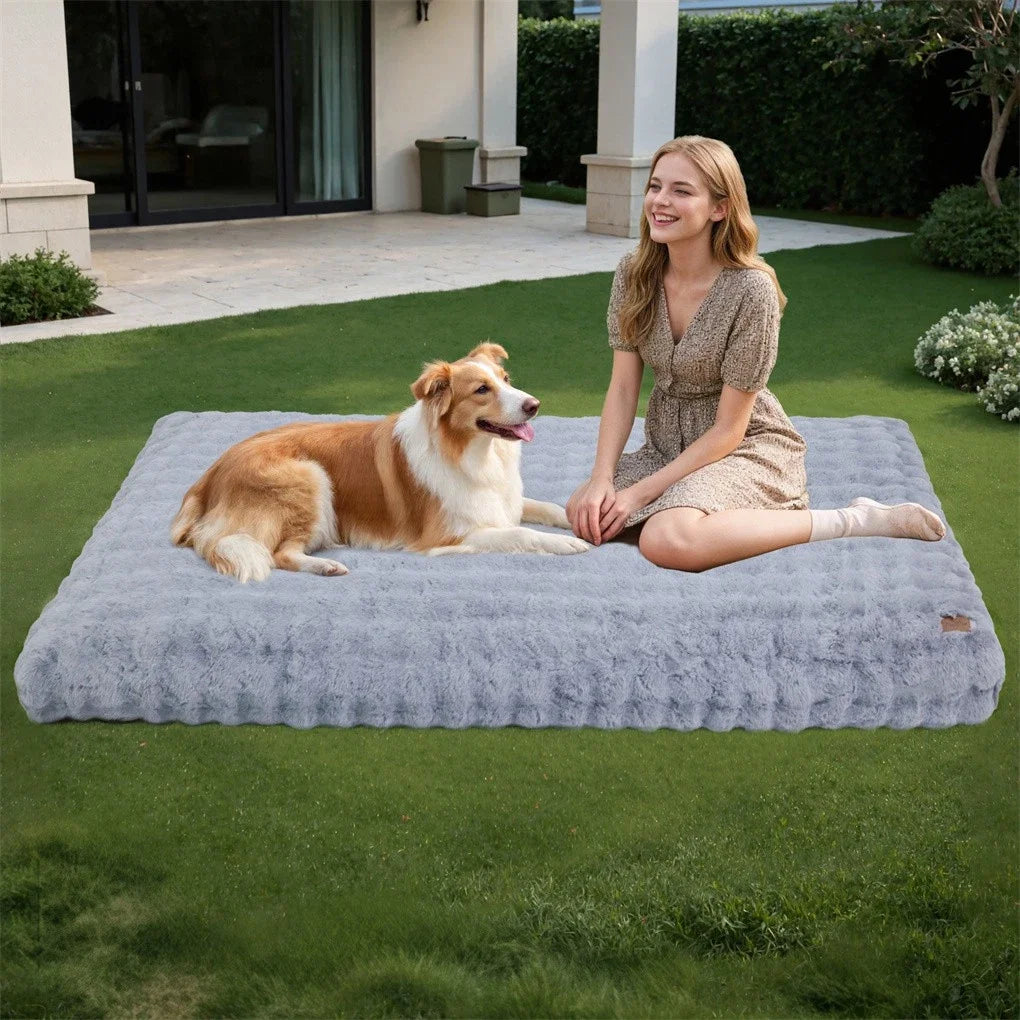 BINGOPAW Ultra-Soft Dog Bed with Removable Cover Machine Washable Cozy Sleep Bed