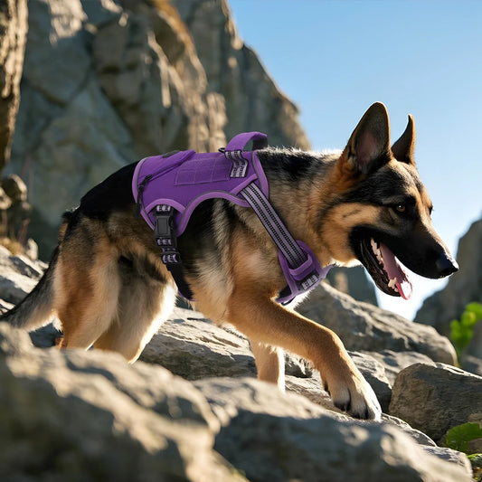 High Quality No Pull Big Dog Harness with Handle