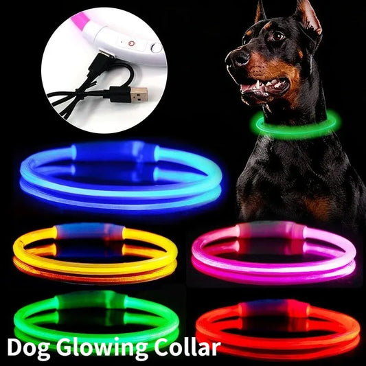 Rechargeable Fiber Optic Night Glow Dog Collar for Enhanced Visability