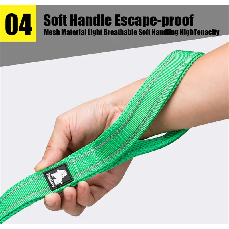 Truelove Reflective Nylon Mesh Padded Pet Leash