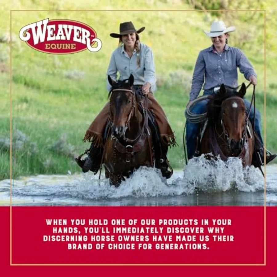 Western saddle pad for horse protection