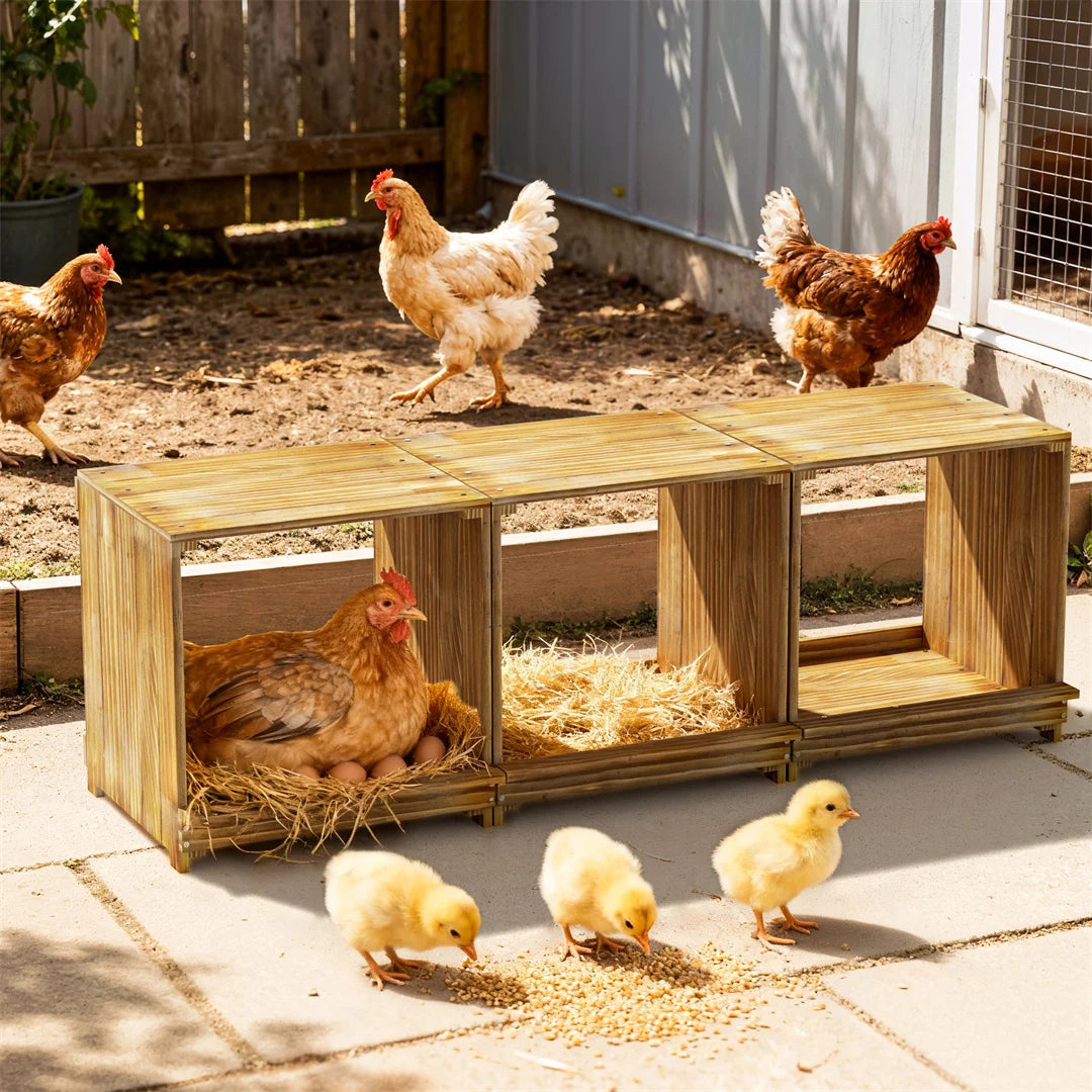 3-Compartment Pine Wood Chicken Nesting Box for Egg Laying Preventing Egg Falls