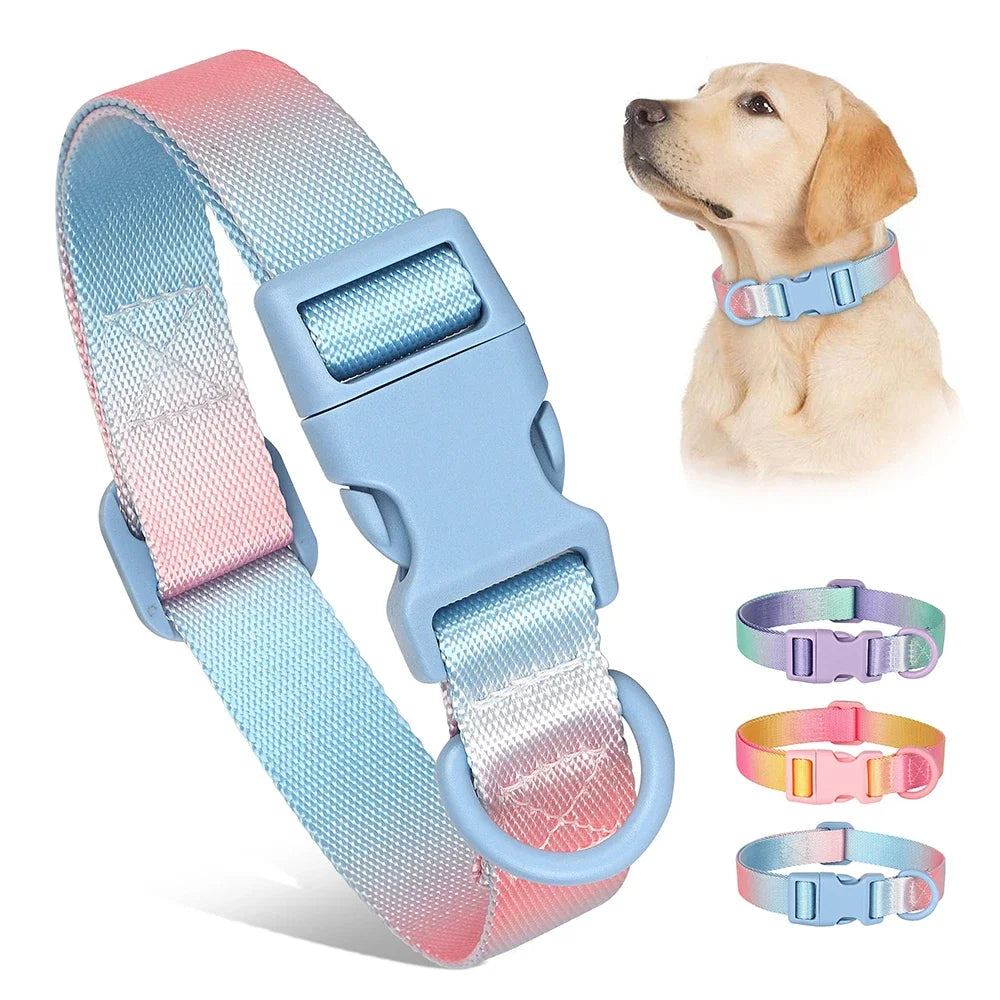 Fashion Durable Gradient Color Adjustable Nylon Dog Collar