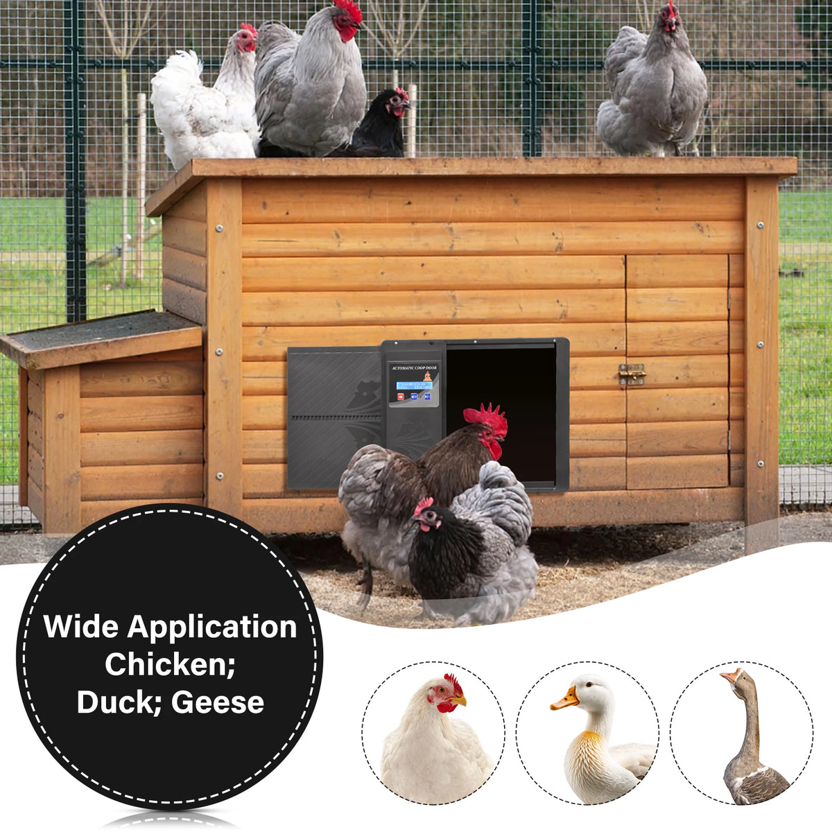 Automatic Chicken Coop Door Opener with Timer and LCD Screen, Anti-Pinch Safety Electric Poultry Door, Battery Powered USB Charging Aluminum Coop Door with Manual/Timer Dual Mode for Outdoor Farm Chicken House