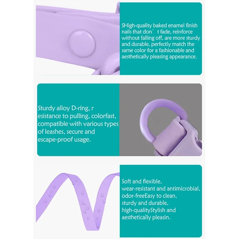 New Colored PVC Waterproof/Dirt Resistant Dog Collar & Leash