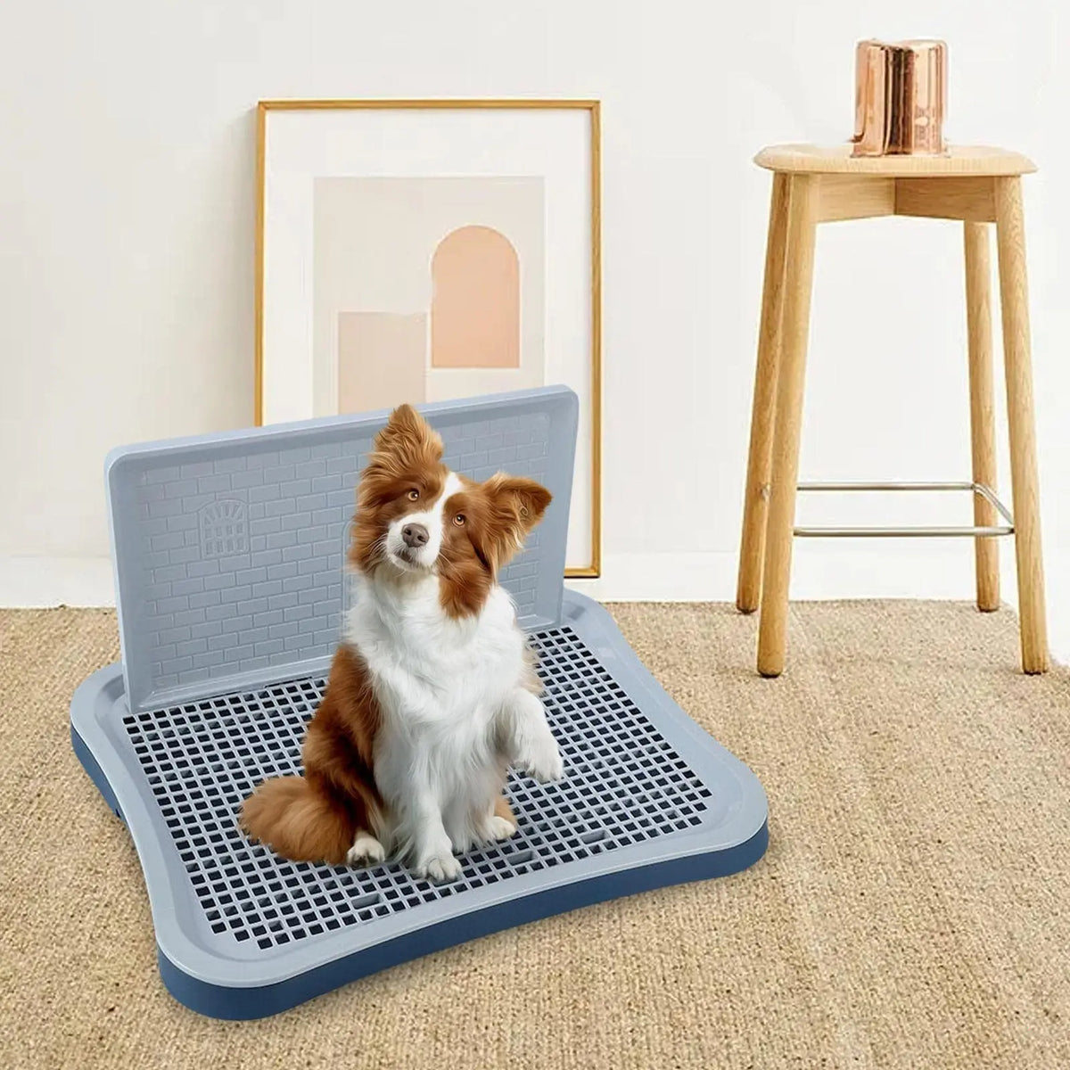 Indoor Potty Tray With Wall Column & Removable Mesh Pad Holder