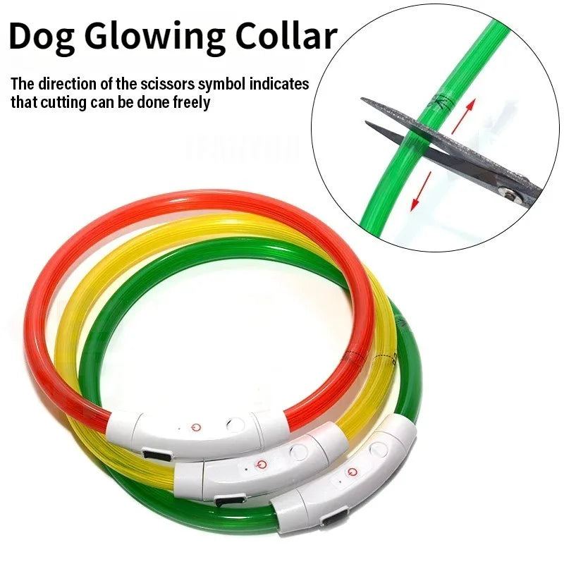 Rechargeable Fiber Optic Night Glow Dog Collar for Enhanced Visability