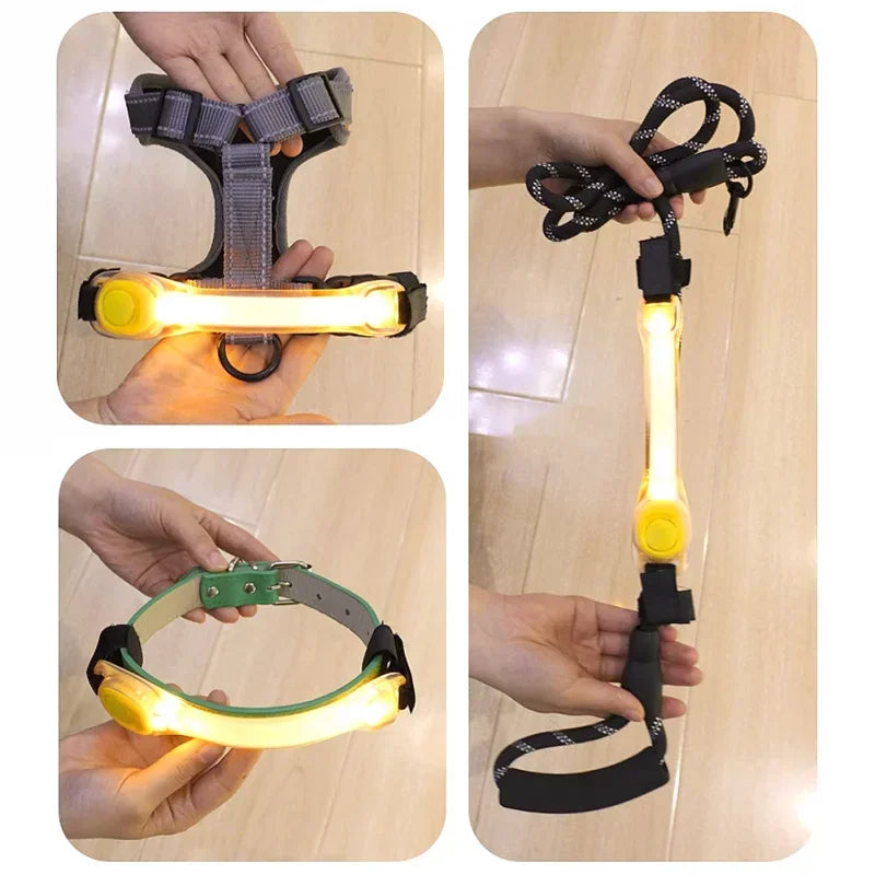 Waterproof Multi-Color Dog Safety Glowing Collar for Night Visability