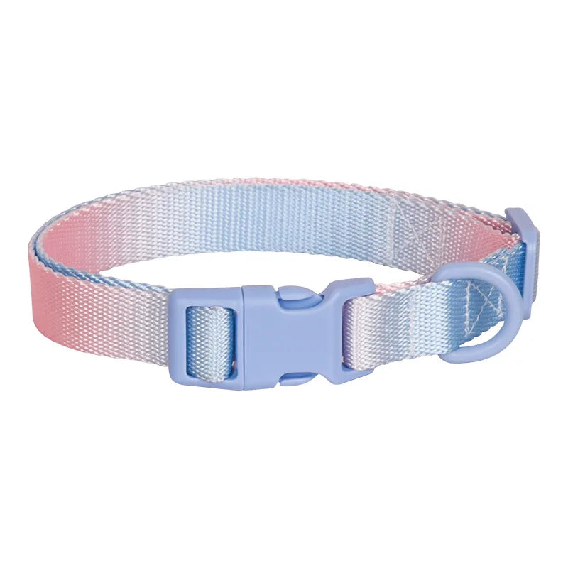 Fashion Durable Gradient Color Adjustable Nylon Dog Collar