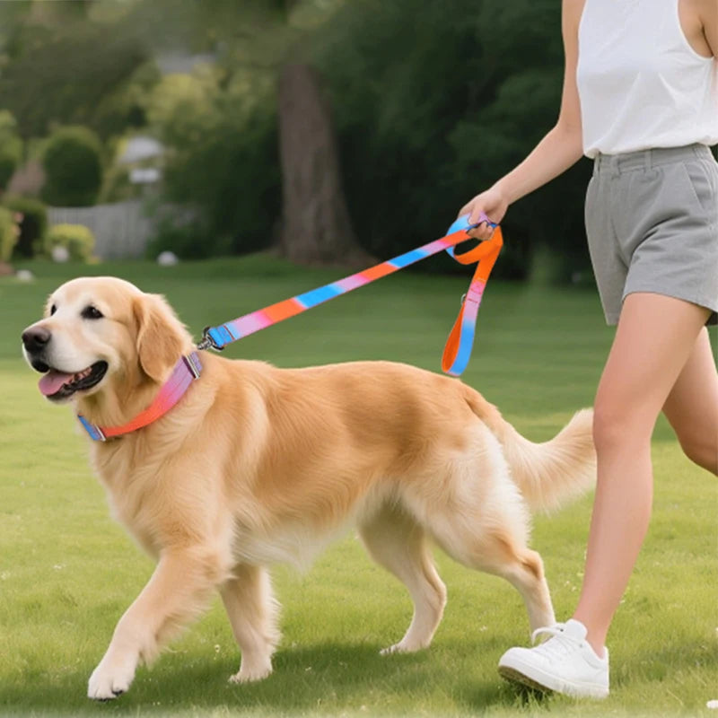 Gradient Print Nylon Dog Leash with Soft Padded Handle