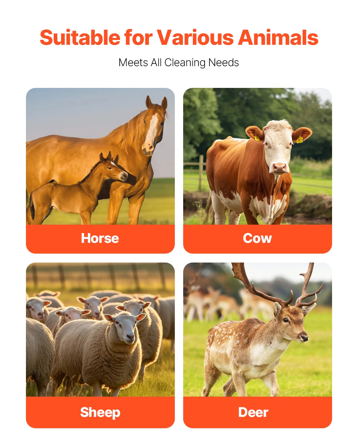 VEVOR Livestock Scratching Brush for Back Itch Relief & Grooming for Horse/Cattle - Whiskersnwigglesshop