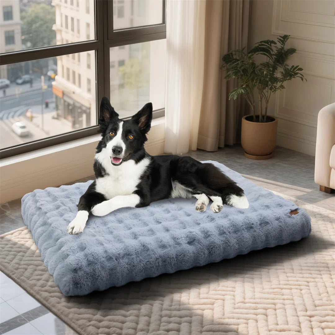 BINGOPAW Ultra-Soft Dog Bed with Removable Cover Machine Washable Cozy Sleep Bed