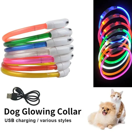 Rechargeable Fiber Optic Night Glow Dog Collar for Enhanced Visability