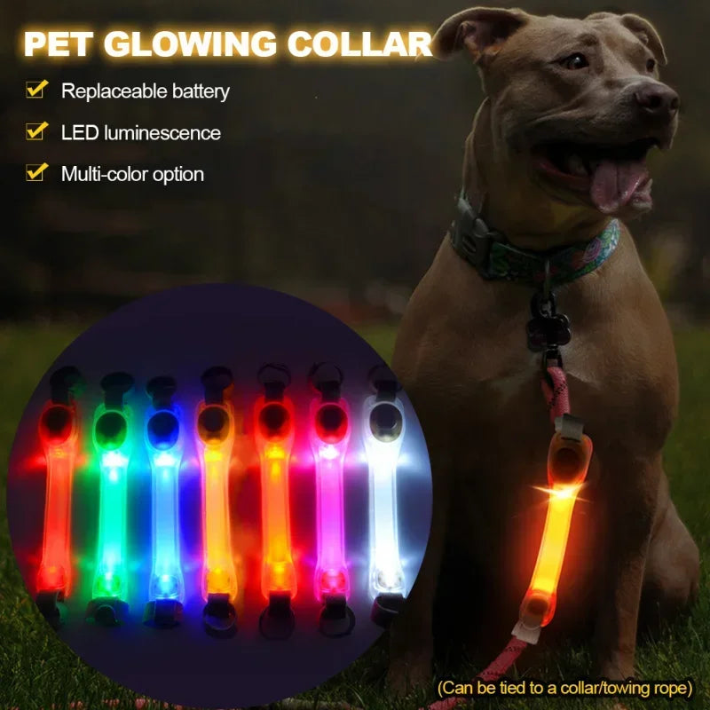 Waterproof Multi-Color Dog Safety Glowing Collar for Night Visability