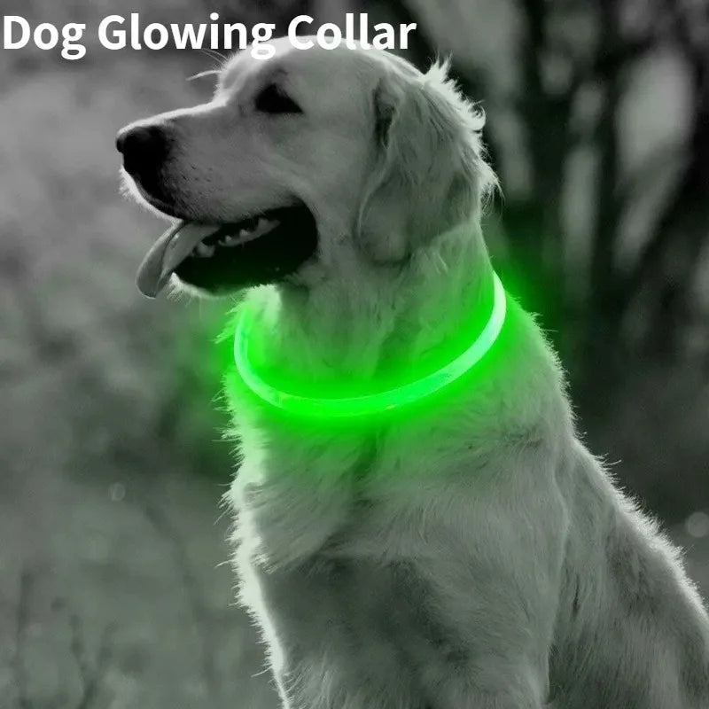 Rechargeable Fiber Optic Night Glow Dog Collar for Enhanced Visability