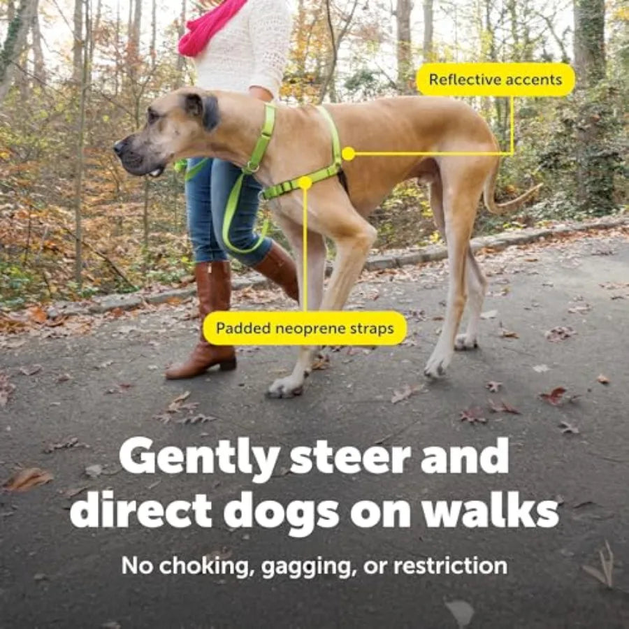 Easy Walk No Pull Deluxe Dog Harness
