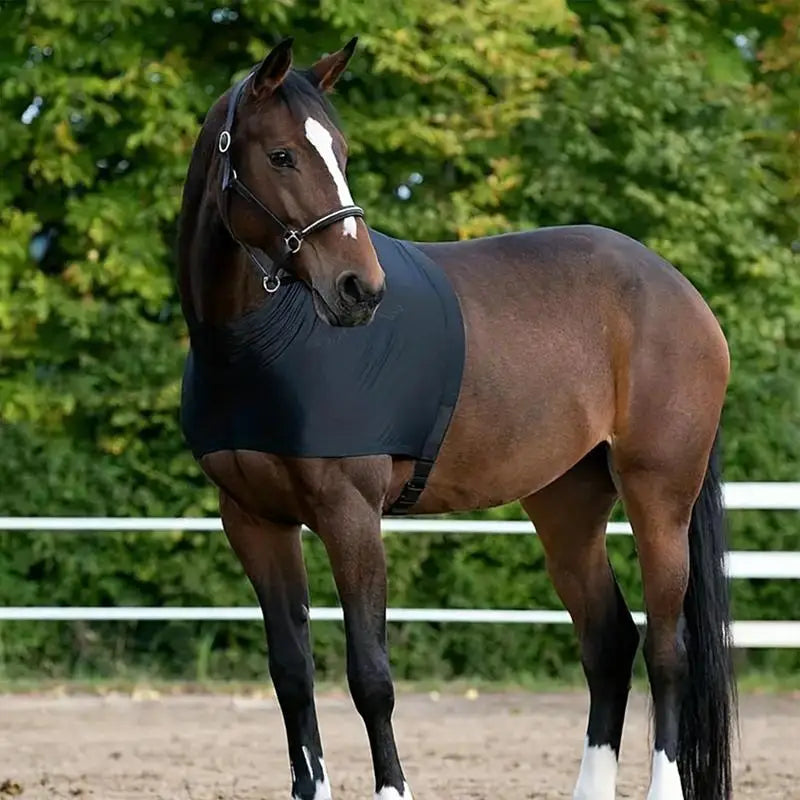 Horse Sleezy Belly Guard Breathable Horse Shoulder Pads Shoulder Guard Anti Friction Horse Bibs Horse Chest Saver