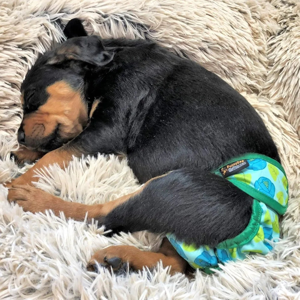 Pack of 6 Female Dog Diapers with 4 - Layers of Absorbent Pads Waterproof Leak Proof
