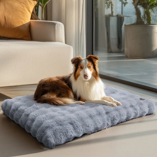 Ultra-soft Plush Pet Bed With Thicker Foam Base That Comes In Multiple Sizes
