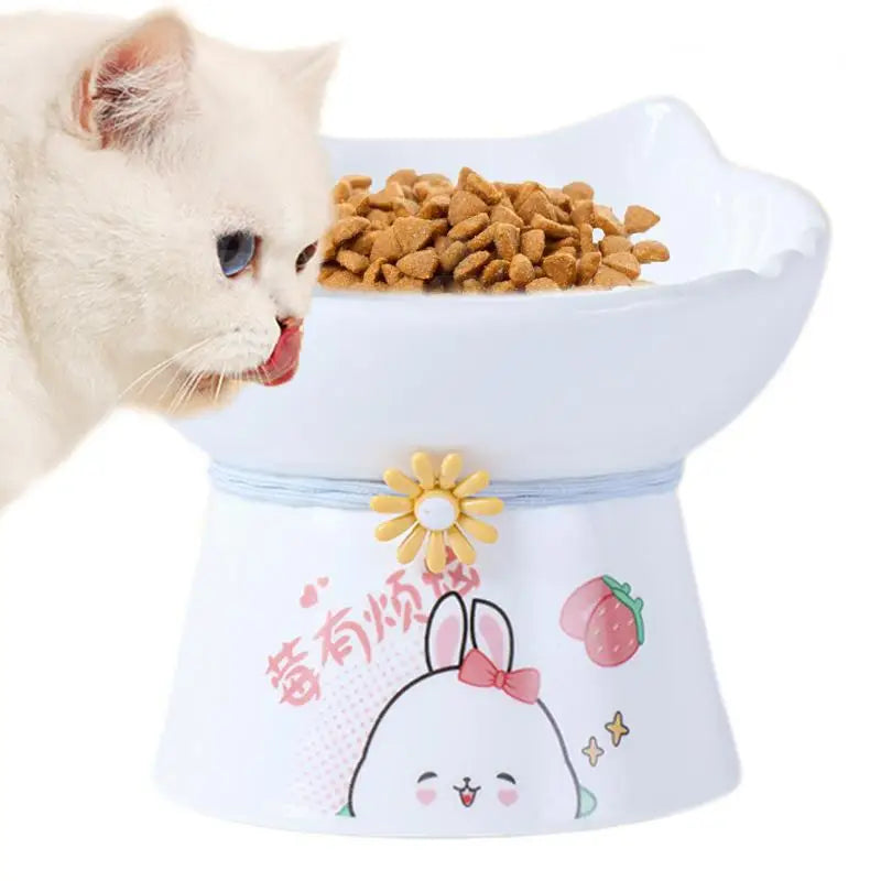 Elevated Ceramic Cat Bowls