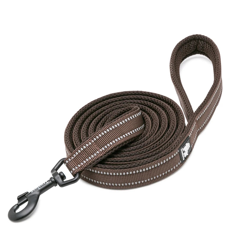 Luxury Dog Leash with Padded Handle