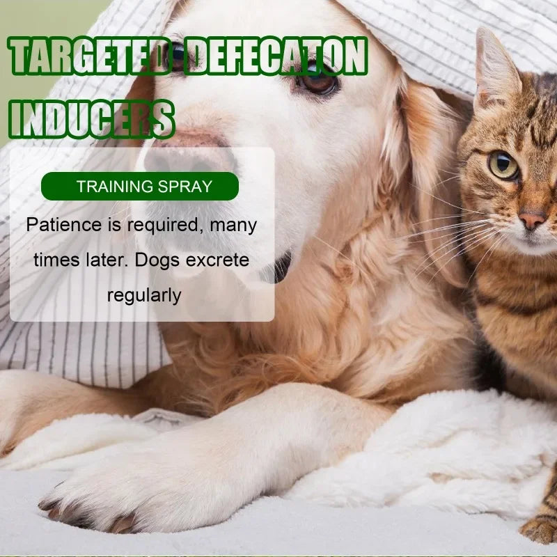 30ml Pet Toilet Training Spray for Potty Positioning Trainer Safe & Effective