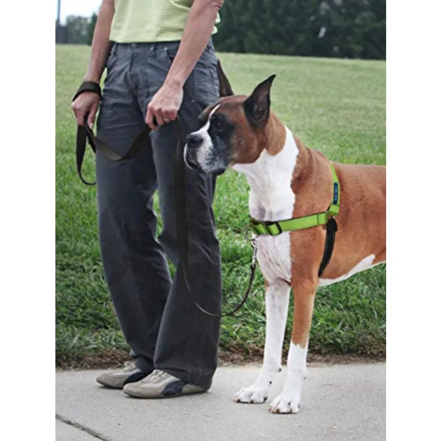 Easy Walk No Pull Deluxe Dog Harness
