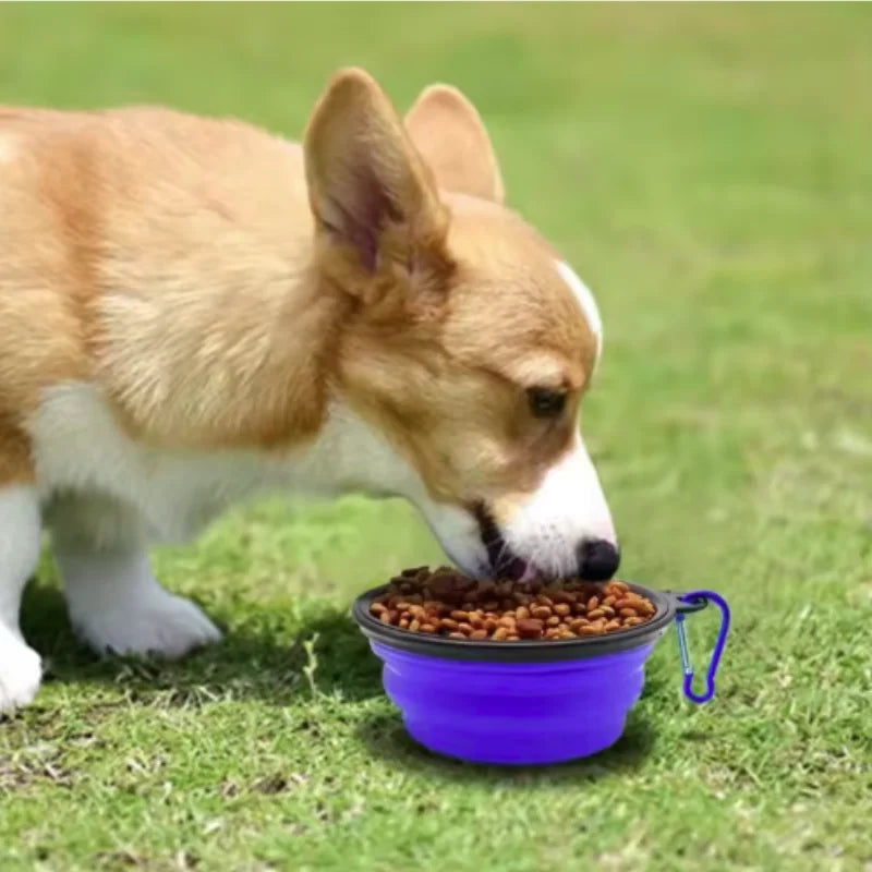 Durable Collapsible Travel Portable Pet Food Bowl for Pets - Whiskersnwigglesshop