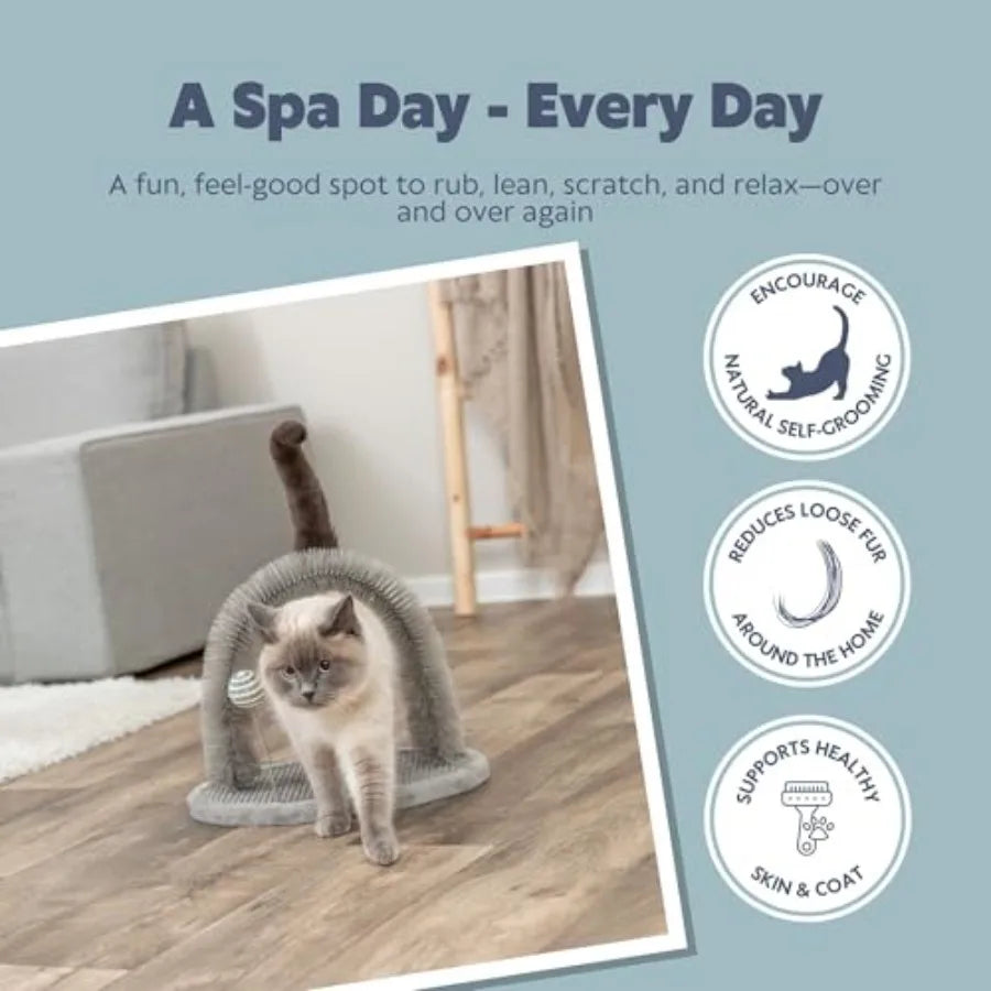 Self-Grooming Cat Plate with Brush Scratcher That Helps Reduce Shedding and Supports Healthy Skin and Coat