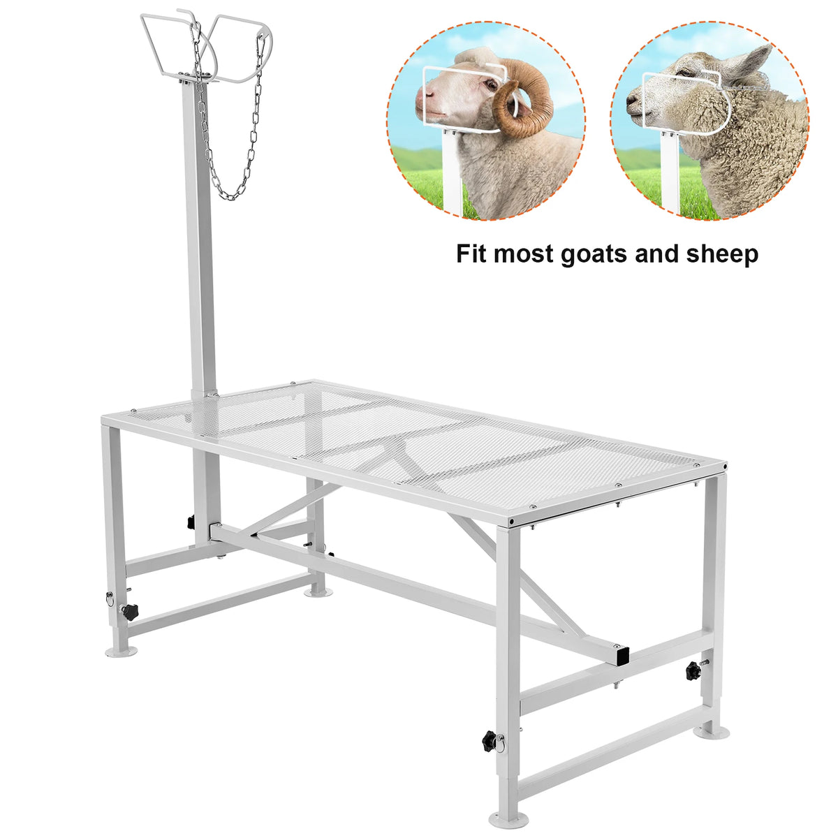 Goat & Sheep Livestock Metal Stand for Milking/Shearing - Stand 21" to 33" Adjustable Height - Whiskersnwigglesshop