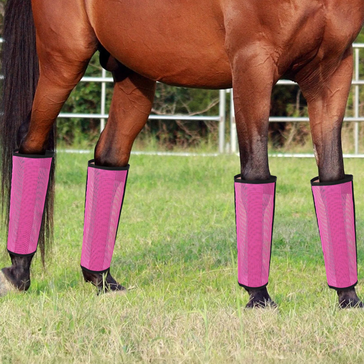 Set of 4 Horse Foot Protective Cover Breathable Mesh Horse Boots Mesh Fly Boots for Horse for Preventing Flies Mosquitoes Bite