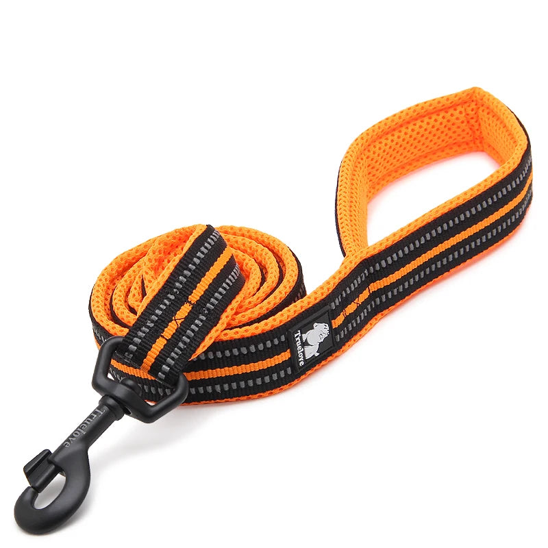Luxury Dog Leash with Padded Handle