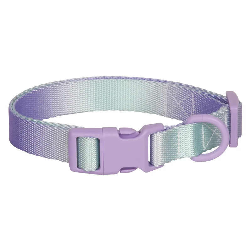Fashion Durable Gradient Color Adjustable Nylon Dog Collar