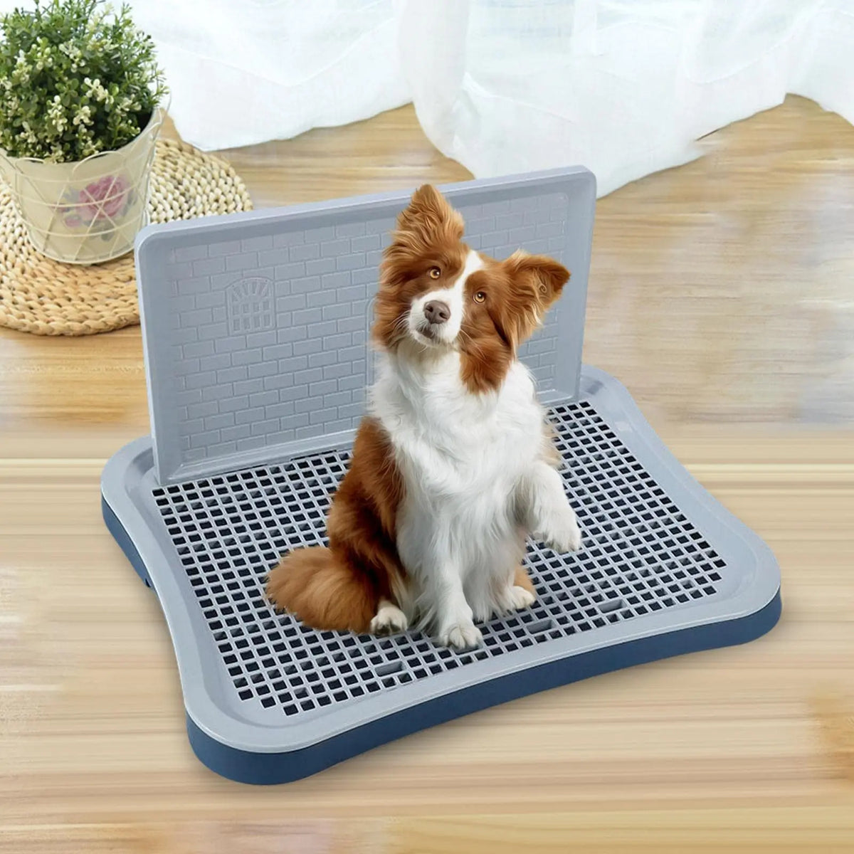 Indoor Potty Tray With Wall Column & Removable Mesh Pad Holder