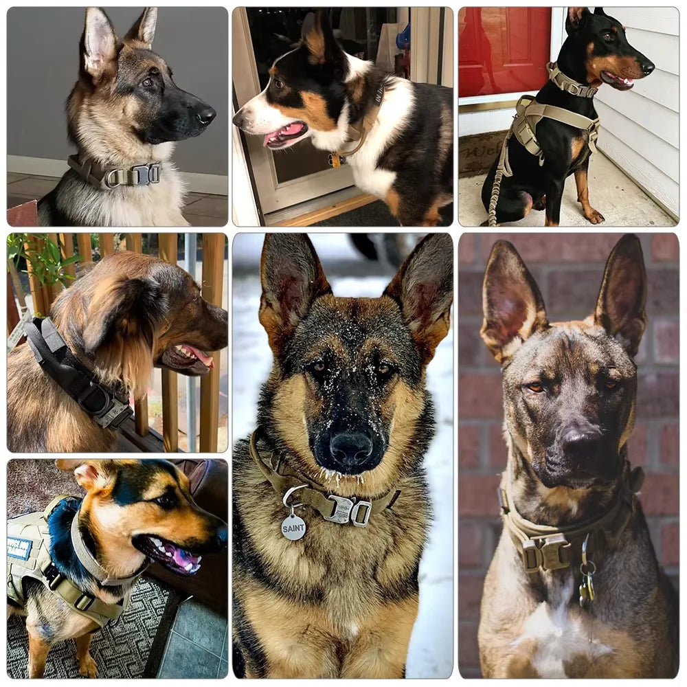 Adjustable Tactical Dog Training Collar And Leash Set with Control Handle Lead Collar