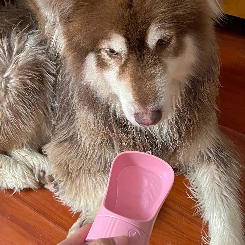 Portable 2 in 1 Dog Water Bottle With Food Container - Whiskersnwigglesshop