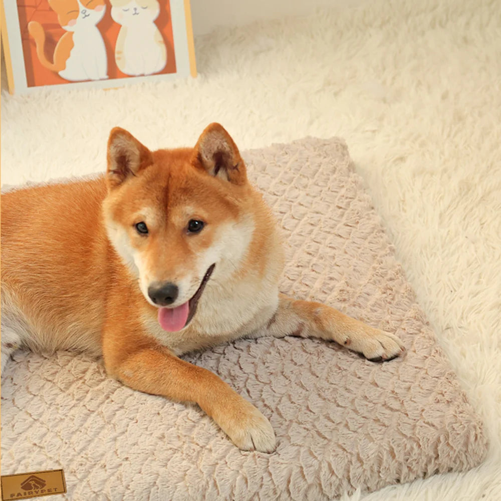 Orthopedic Foam Pet Bed With Removable Washable Faux Fur Cover & Anti-Slip Bottom