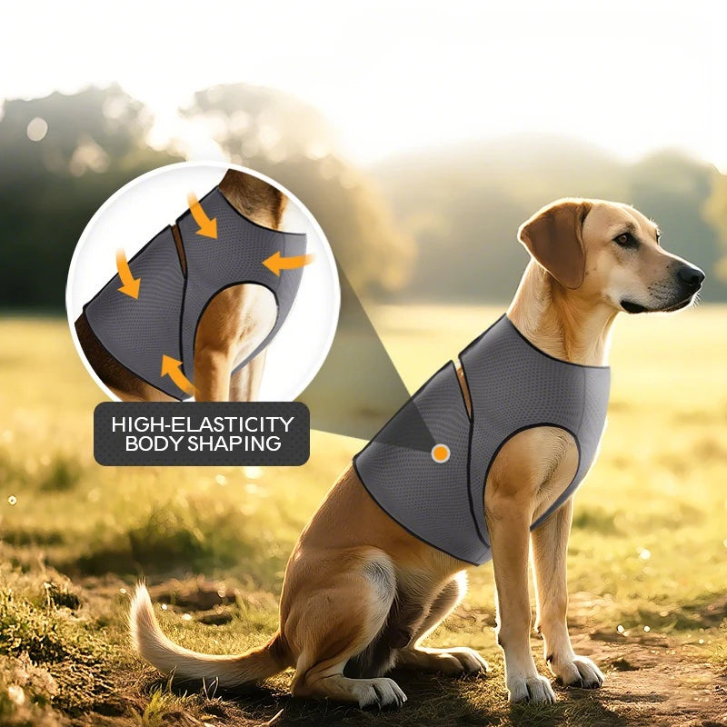 Mesh Dog Calming Vest/Coat for Thunderstorms