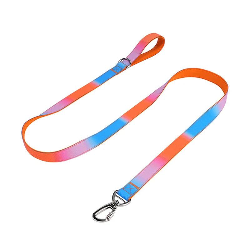 Gradient Print Nylon Dog Leash with Soft Padded Handle