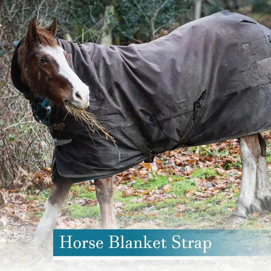 Horse Blanket Leg Straps Elastic Replacement Comfortable Sheet Fixing Belt