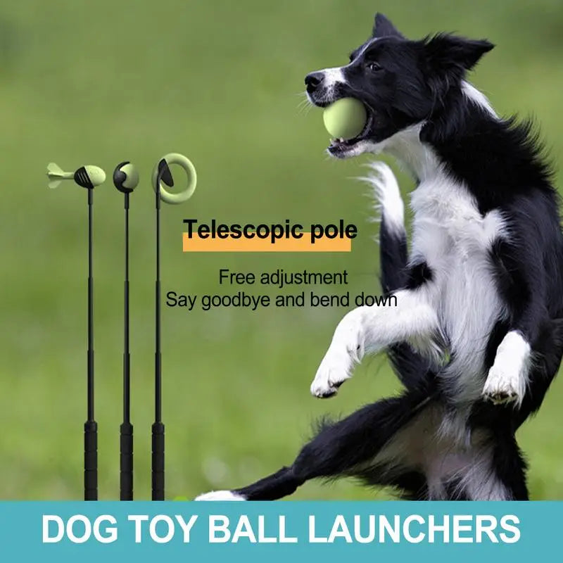 Dog Throwing Ball Toy with Pet Tennis Launcher Pole
