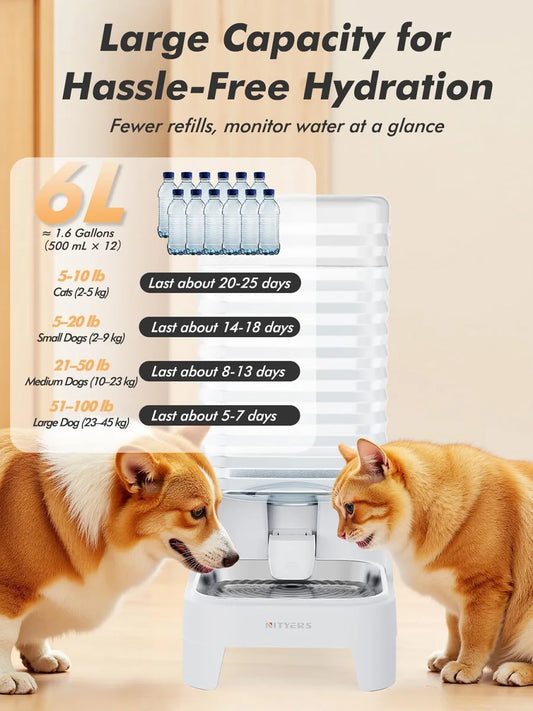 6L Gravity Pet Water Dispenser Large Capacity Automatic Dog Water Bowl