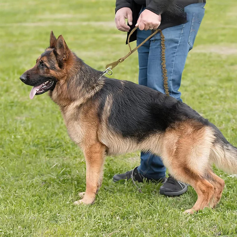 Adjustable Dog Leash with Quick Release and 2 Control Handles