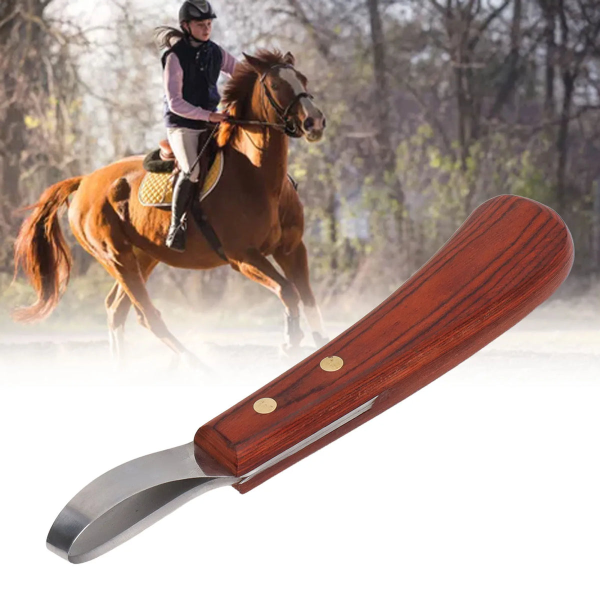 Stainless Steel Hoof Trimmer Shears 19.5cm Sturdy Rubber Wood Handle Hoof Trimmer Shears Non Slip for Livestock