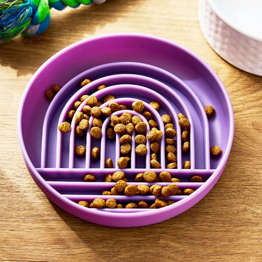 Purple Slow Feeder Bowl