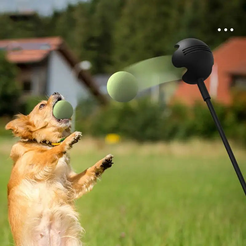 Dog Throwing Ball Toy with Pet Tennis Launcher Pole